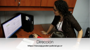 Imagen Decorativa relacionada a Poder Judicial capacita a 137 personas en el uso del buscador Nexus PJ
